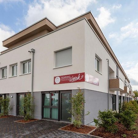 Boardinghouse Hirsch - Apartments In Kork Kehl エクステリア 写真